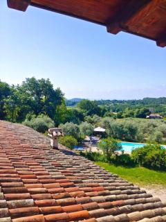 Il rovero - Castion Veronese - 1