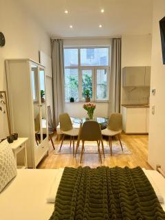 Gemütliches Studio Apartment - Wien - 0