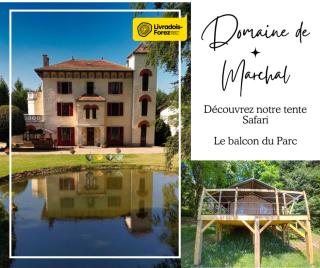 Domaine de Marchal - Le balcon du Parc - tente éco-lodge - Celles-sur-Durolle - 7