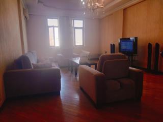 Nizami Metro Premium Apartment - Baku - 5