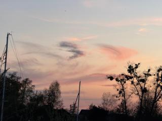 Seeschwalbe 78 Am Hafendorf - Rechlin - 7
