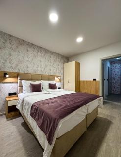 Alegria Rooms Sarajevo - Ilijaš - 7
