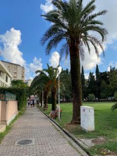 Adriana Apartment - Budva - 7