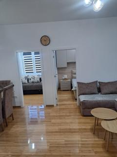 Zlatibor apartaman - Zlatibor - 0