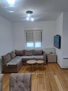 Zlatibor apartaman - Zlatibor - 7