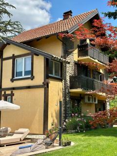 Vila Aleksić - 1