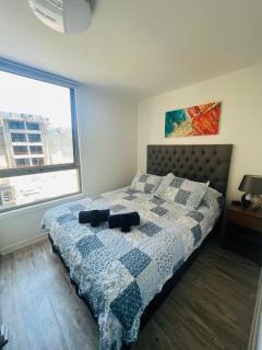 Cómodo y céntrico departamento de 3 dormitorios y 2 baños - Santiago - 8