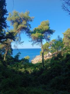 Bienvenue chez nous - Ulcinj - 8