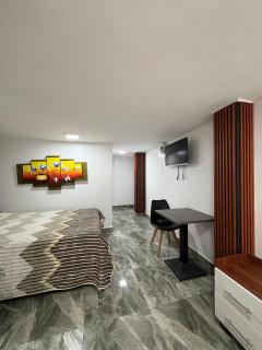 Hotel Monaco - Santo Domingo de los Colorados - 7