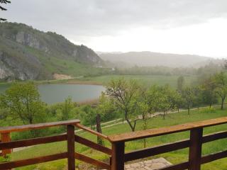 Detached house Milivoje - Pošćenje - 4