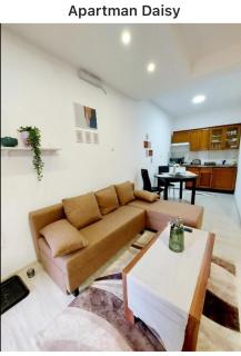 Daisy Apartment - Sremska Kamenica - 8