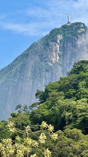 Casa da Lagoa - Río de Janeiro - 4