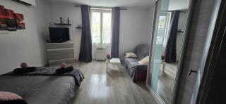 Appartement avec jardin à Colmar - 8