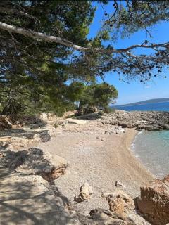 Apartments Sea and Pine - Ivan Dolac - 1