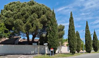 Maisonnette/Tiny House - Jardin privé - Castanet-Tolosan - 1