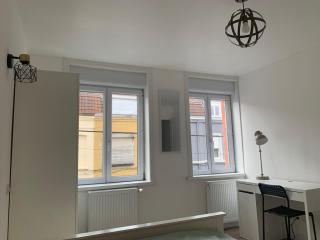 Spacious house in Lambersart - 2 bedrooms - Lambersart - 7