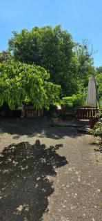 Appartement avec jardin à Colmar - Colmar - 7