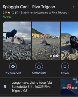 Popi al mare in villa con giardino e wifi - Sestri Levante - 8