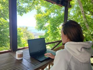 Mountain and Sea view - 2