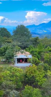 Finca Santa Elena - 4