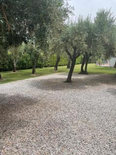 In Versilia - Seravezza - 7