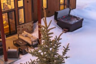 Upscale Ski Chalet - Wildlife AC Hot Tub - Driggs - 2