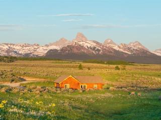 Log Cabin Teton Views & Pets OK - Tetonia - 9