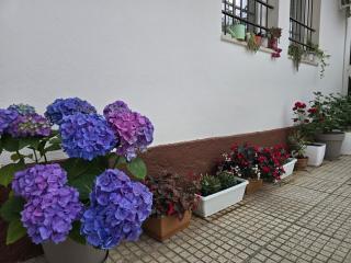 Hotel Aleks - Shkodër - 9