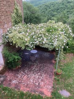 Bargi - 3
