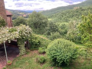 Bargi - Lugnano - 1