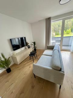Apartmán s výhľadom na Vysoké Tatry a les - Jezersko - 8