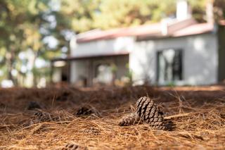 Chacra en Emprendimiento Tierra de Caballos - 1
