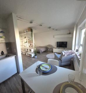 NEU "RELAX"1-Zimmer Apartment mit eigenem Stellplatz - Bad Friedrichshall - 3