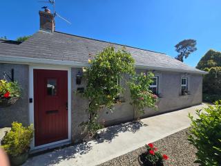 Newly Renovated Country Cottage - Portadown - 0