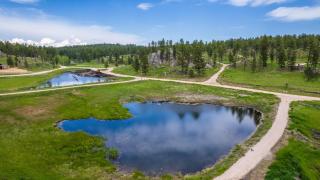 Secret Squirrel Sanctuary - Custer - 9