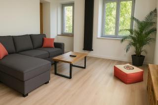 Joli T2 esprit LOFT - Loos - 2