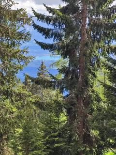 Schalale - Kanzelhöhe - 5
