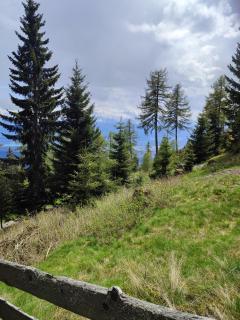 Schalale - Kanzelhöhe - 6