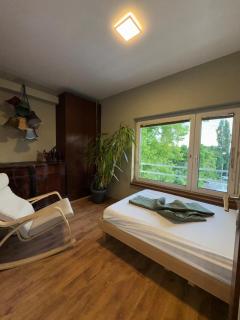 Spacious and Cozy Flat - Viena - 5