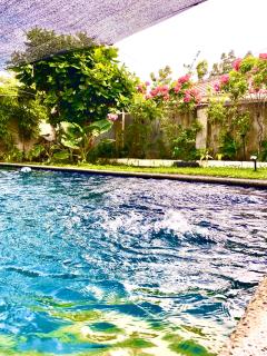 Spacious Studio Apartment 3 with Pool - Alburquerque - 8