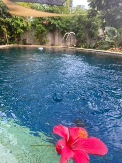 Spacious Studio Apartment 3 with Pool - 9