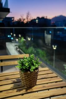 Exclusive 2BR 2BA Ideal for Families Up to 5 - Santiago - 4