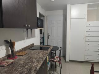 apartamentito tipo estudio AMUEBLADO tranquilo y acogedor cocina y baño privado independiente en CHANIS cerca de Costa del este - Panama (ville) - 4