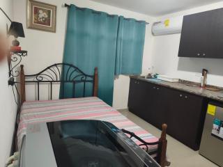 apartamentito tipo estudio AMUEBLADO tranquilo y acogedor cocina y baño privado independiente en CHANIS cerca de Costa del este - Città di Panama - 6