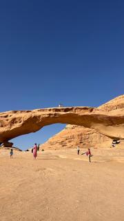 Legend of Wadi Rum Companions - Wadi Rum - 1