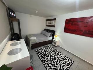 Flat-style kit - Brasilia - 4