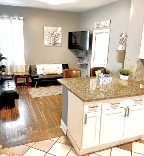 Urban Coach Penthouse - Near Train, Medical District, and Downtown - Chicago - 0