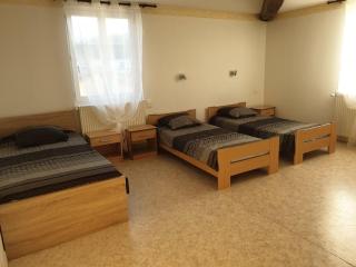 Gîte de charme près du lac du Der avec jardin clos, 4 chambres, parking privé, et équipements modernes - FR-1-611-13 - 3