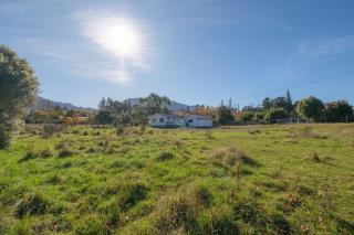 House Horse & Hound on Argelins - Hanmer Springs - 4