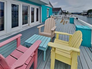 Dolphin Paradise - 2